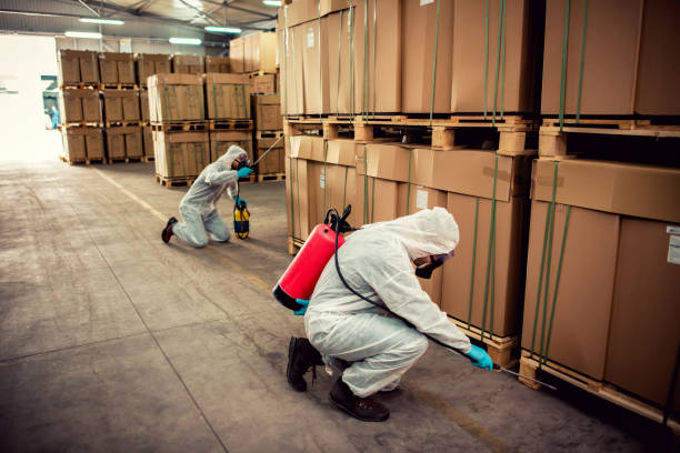 Best Affordable Pest Control Services  in Sheridan, IN