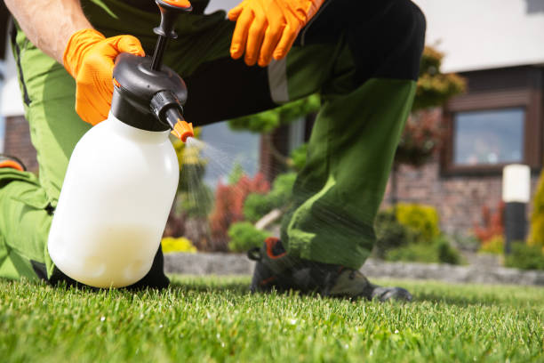 Best Termite Control Services  in Sheridan, IN
