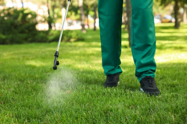 Reliable Sheridan, IN Pest Control Solutions