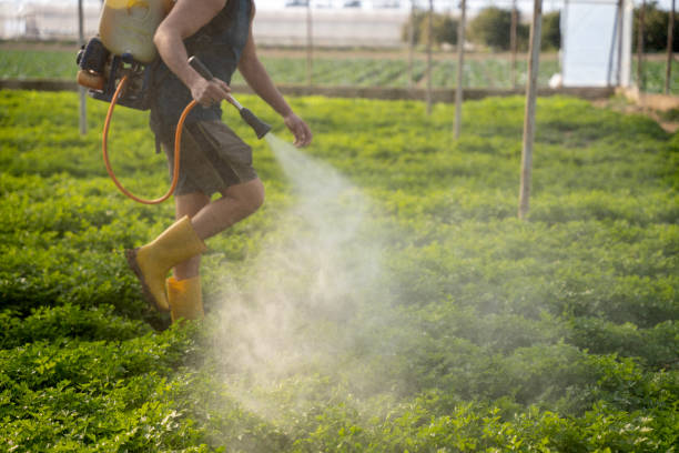 Best Commercial Pest Control Services  in Sheridan, IN