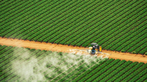Best Pest Control Treatment  in Sheridan, IN